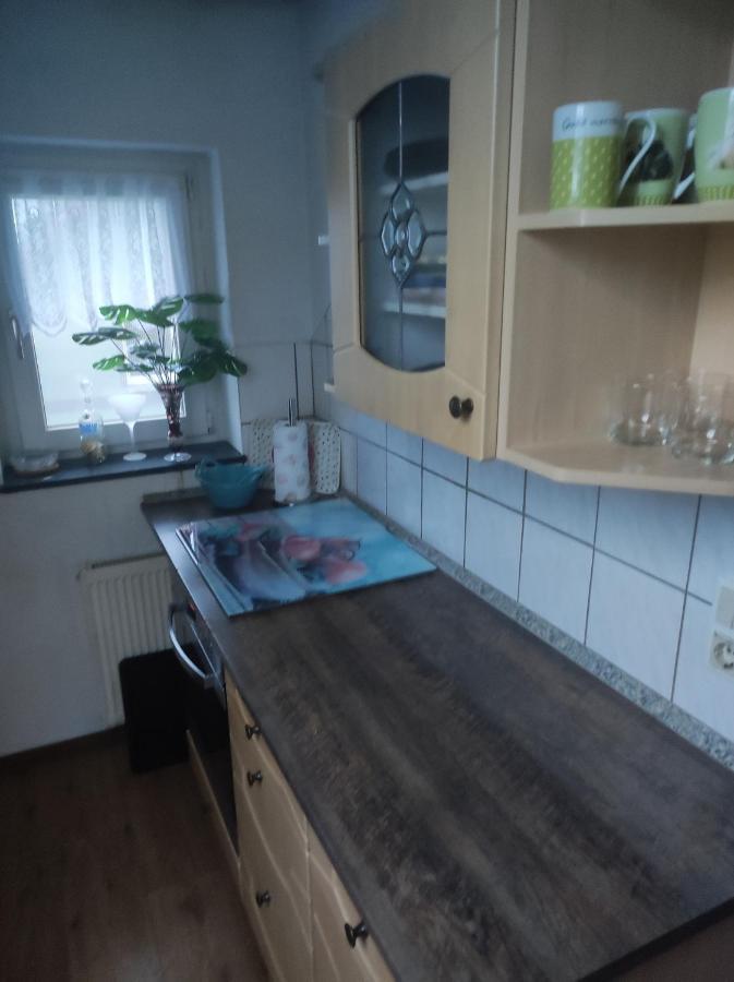 Kleine Gemuetliche Wohnung Цвикау Екстериор снимка
