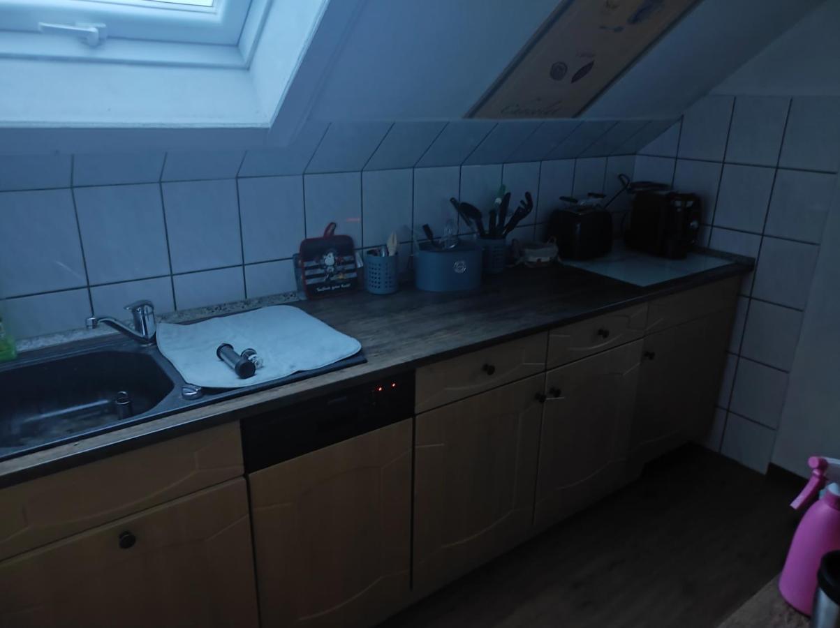 Kleine Gemuetliche Wohnung Цвикау Екстериор снимка