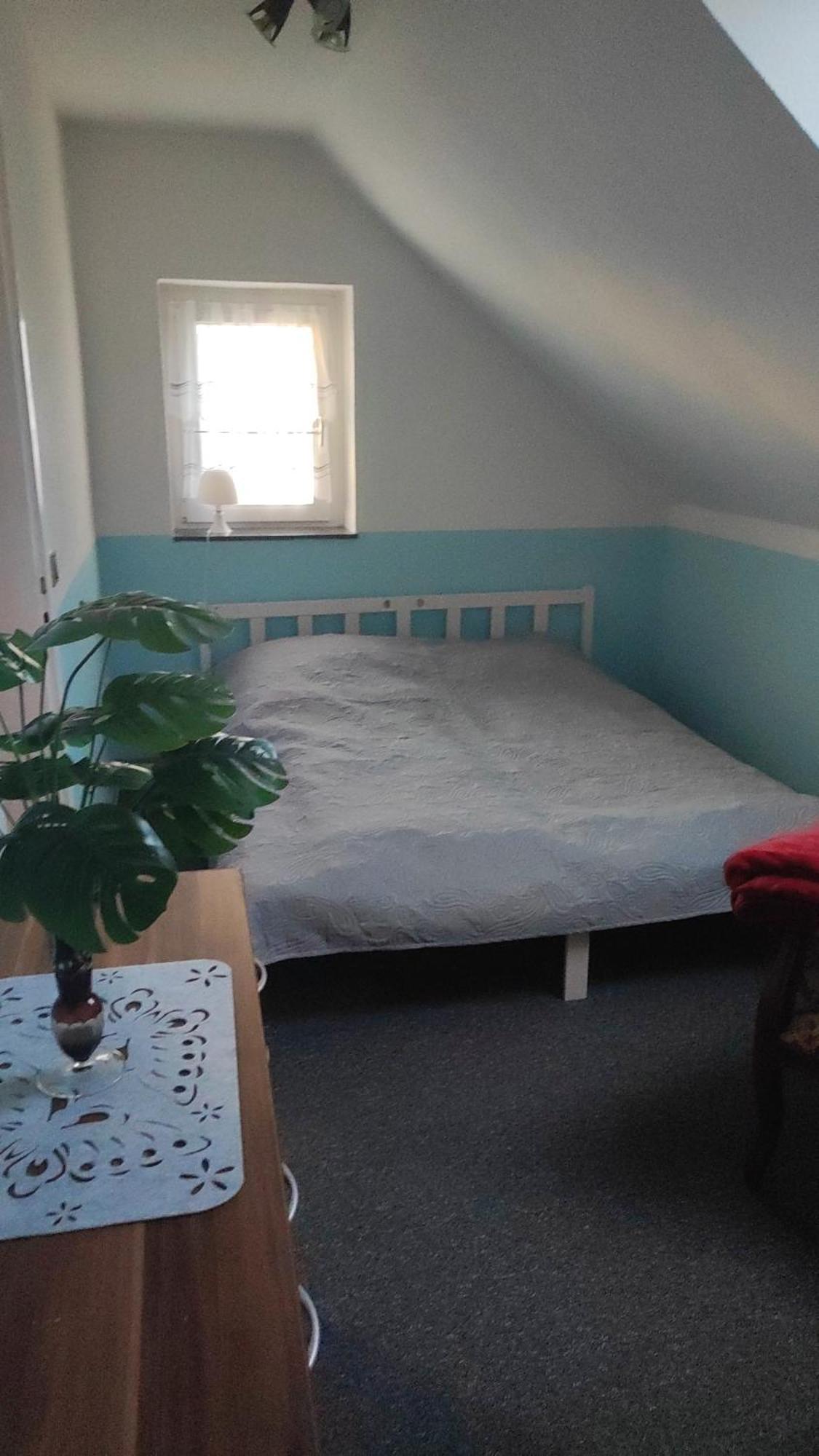 Kleine Gemuetliche Wohnung Цвикау Екстериор снимка